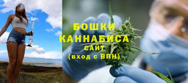 стаф Бронницы