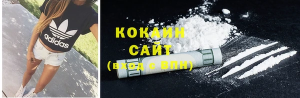 стафф Богородицк
